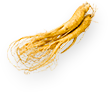 Ginseng