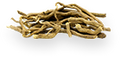 Kava Root