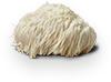 Lion's Mane Mushroom